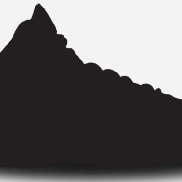 FREE item WITH purchase-MYSTERY Footwear - Picture 1 of 1